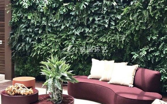 9月13日植物墙效果图案例，设计精美的垂直花园景观