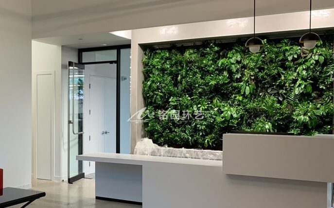 9月10日植物墙效果图案例，办公区垂直绿化景观