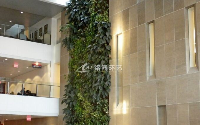 9月8日植物墙效果图案例，室内办公空间垂直绿化景观