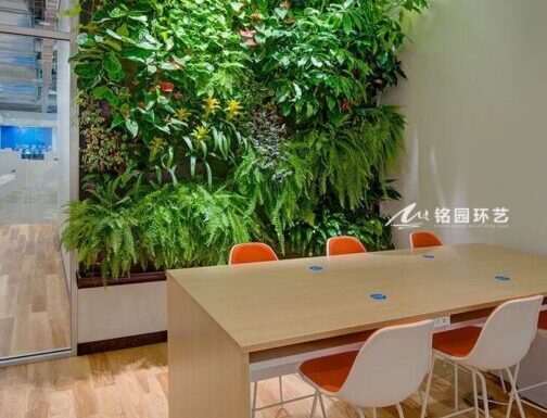 10.12植物墙图片分享，绿植构筑的舒心空间