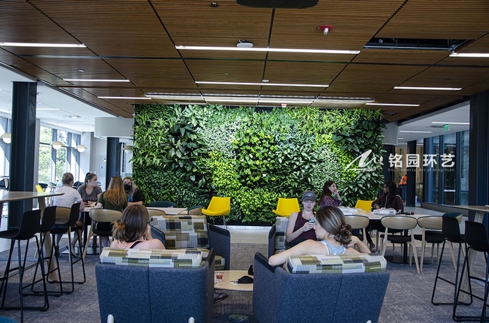 植物墙实景图片案例