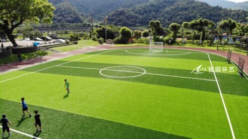 小学仿真草坪，重庆某公立学校足球场草皮
