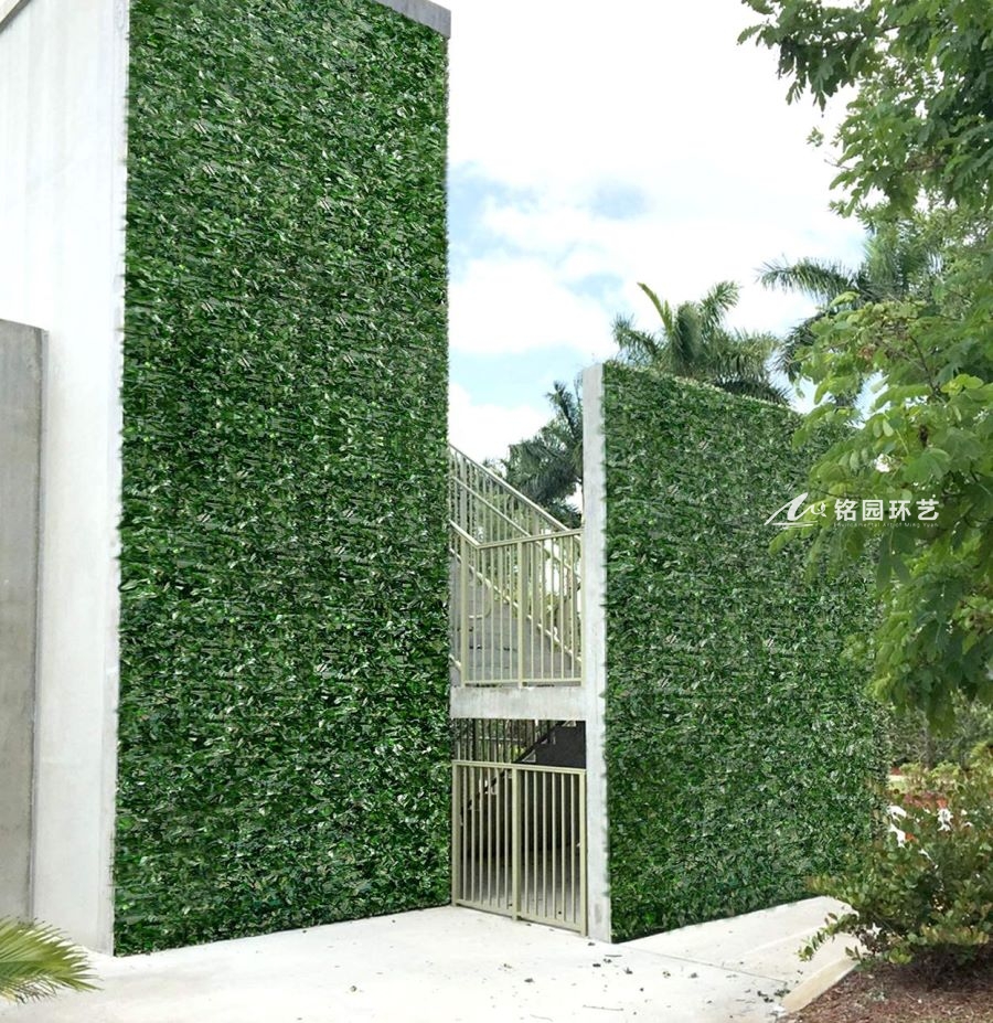 植物墙图片案例