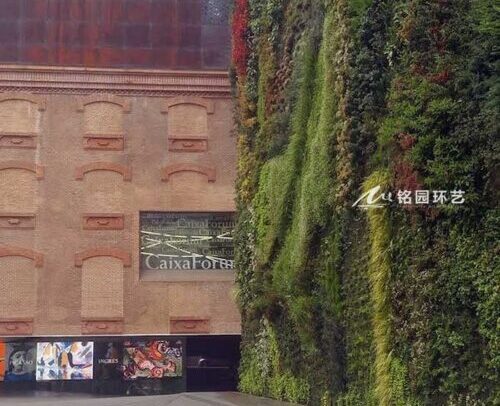 10月20日植物墙图片案例，绿植墙体构建森林城市