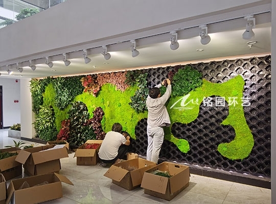 苔藓植物墙_欧林生态展厅通道苔藓墙案例