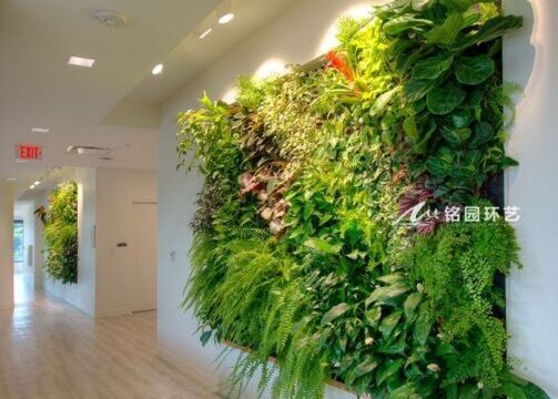 11月4日植物墙景观案例分享，鲜活生动的绿色墙体