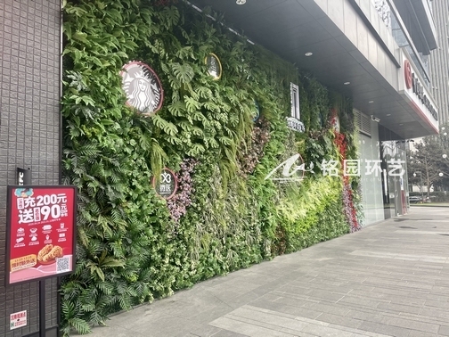 商业垂直绿化：天府三街领地环金广场仿真植物墙案例