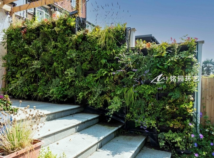 11月8日植物墙效果图案例，垂直绿化深入到生活的方方面面