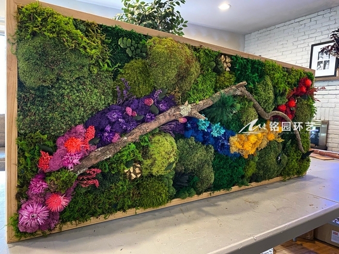 11月10日植物墙效果图案例，与生活休戚相关的绿色精灵