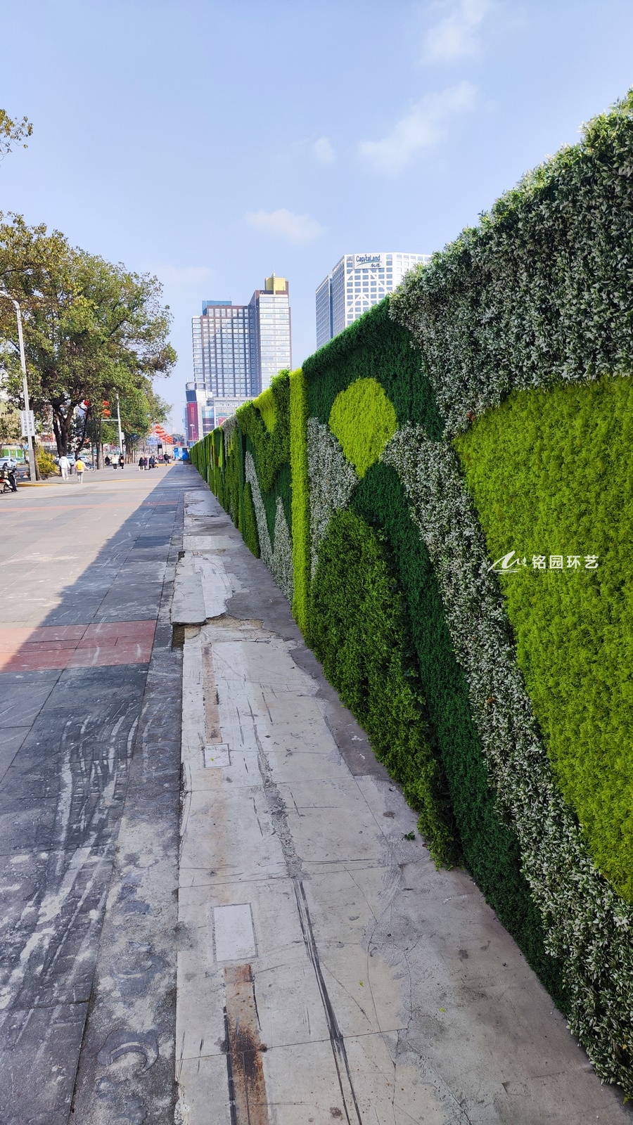 道路围墙绿化