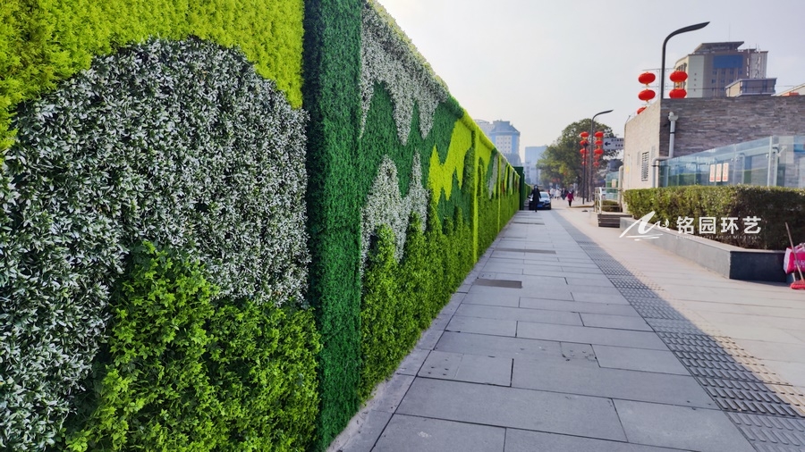 道路围墙绿化
