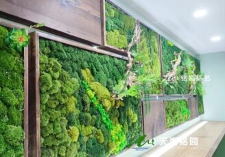 室内苔藓墙，墙体永生苔藓墙相框