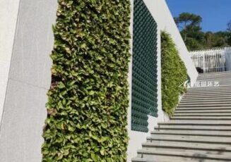 市政蹊径植物墙，修建物步梯旁笔直绿化景观