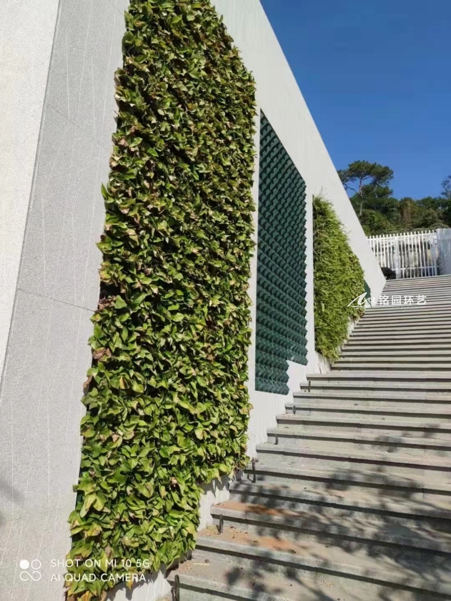 市政阶梯植物墙