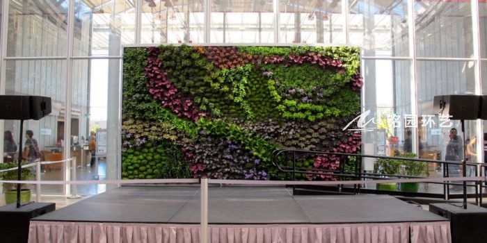 植物墙效果图