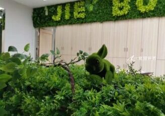 企业绿植背景墙，办公室墙体仿真植物墙景观