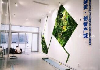 企业绿植形象墙，公司过道几何背景仿真植物墙景观