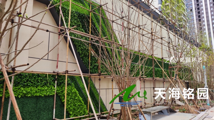 房地产墙体绿化