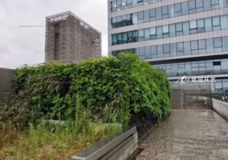 屋顶笔直绿化，集团公司楼顶植物墙景观