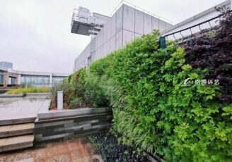 办公楼屋顶绿化，楼顶墙体笔直绿化景观