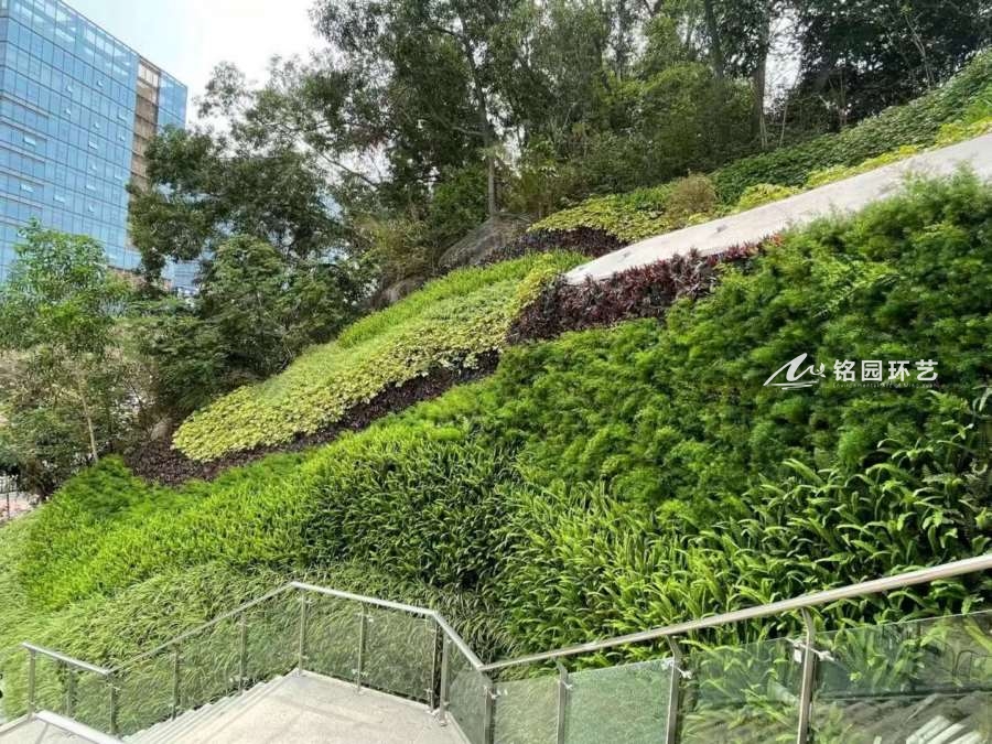 城市护坡绿化