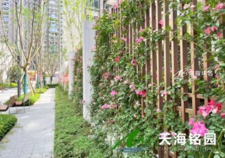 围挡围栏立体绿化，小区、楼盘、学校爬藤蔷薇花绿化景观