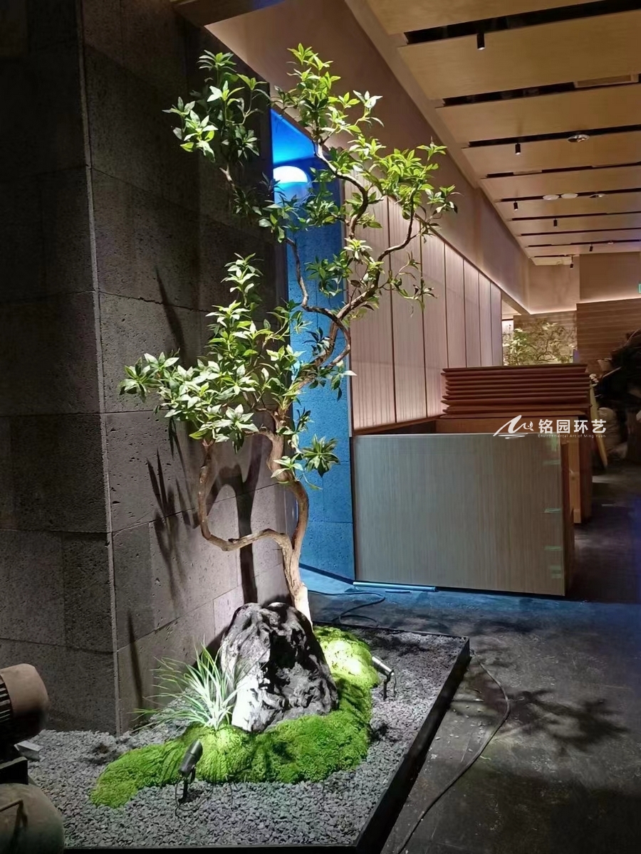 餐馆植物景观