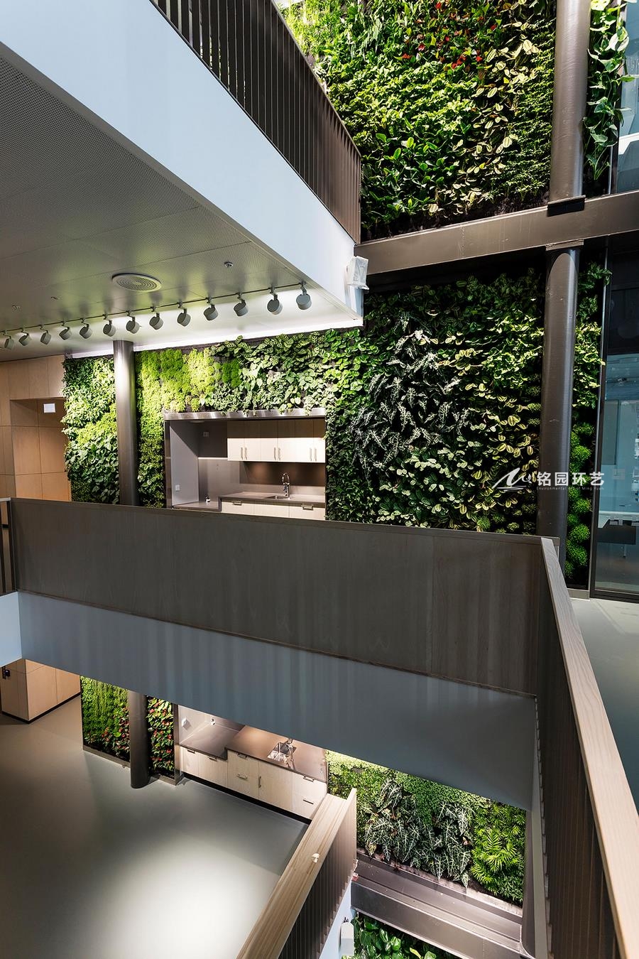 办公楼绿植形象墙