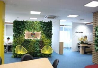 绿植形象墙，办公室仿真绿植墙景观