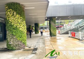 医院笔直绿化，台州医院包柱子立体绿化景观