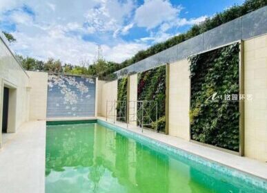 泳池植物墙，别墅私人泳池笔直绿化景观