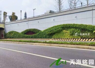 道路两旁垂直绿化，东安湖围墙围挡植物墙景观