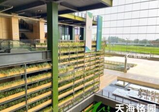 会议大厅立体绿化，天府农博园花架式垂直绿化案例