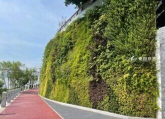 河堤公园笔直绿化，市政护坡墙体植物墙景观