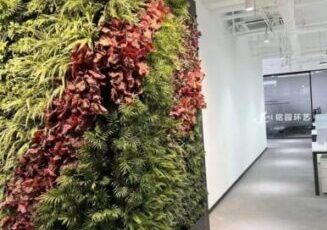 室内植物墙，AI创新中心办公室内绿植形象墙景观