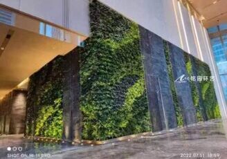 大堂植物墙，办公楼仿真绿植墙体造景景观