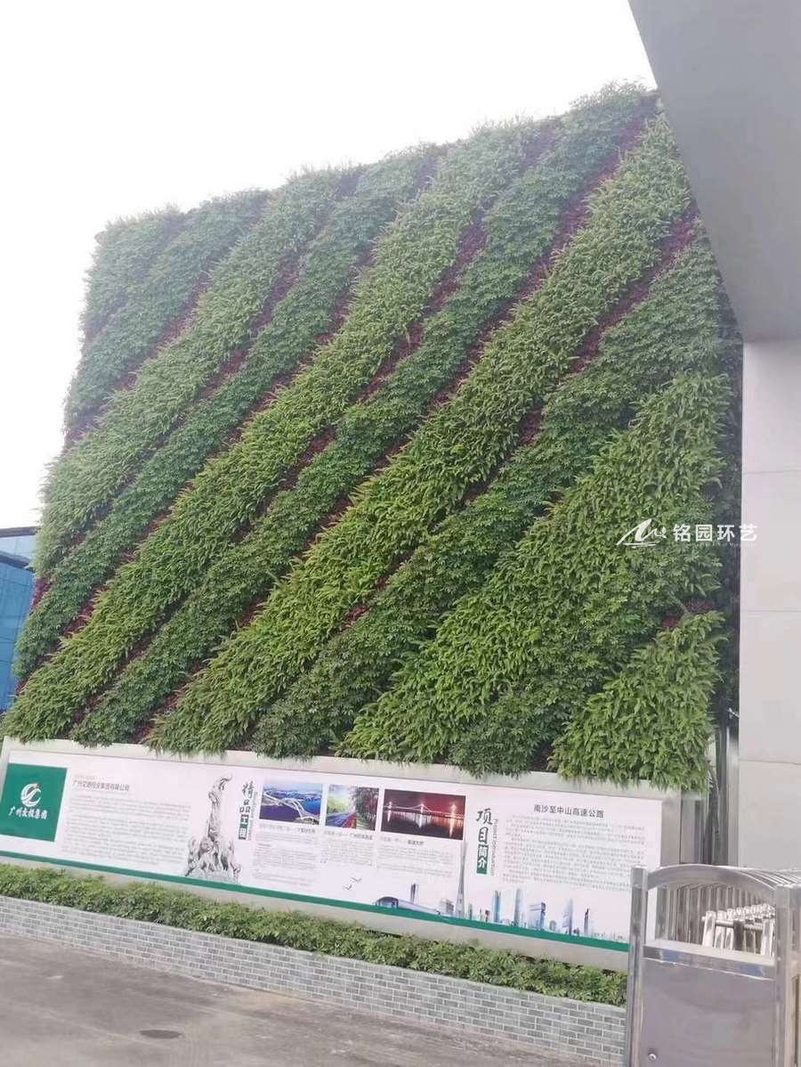 办公楼垂直绿化