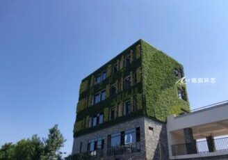 学校植物墙，教学楼外墙垂直绿化