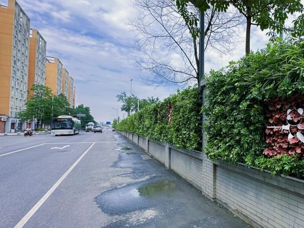蹊径两旁绿化，成都龙泉公交站笔直绿化景观