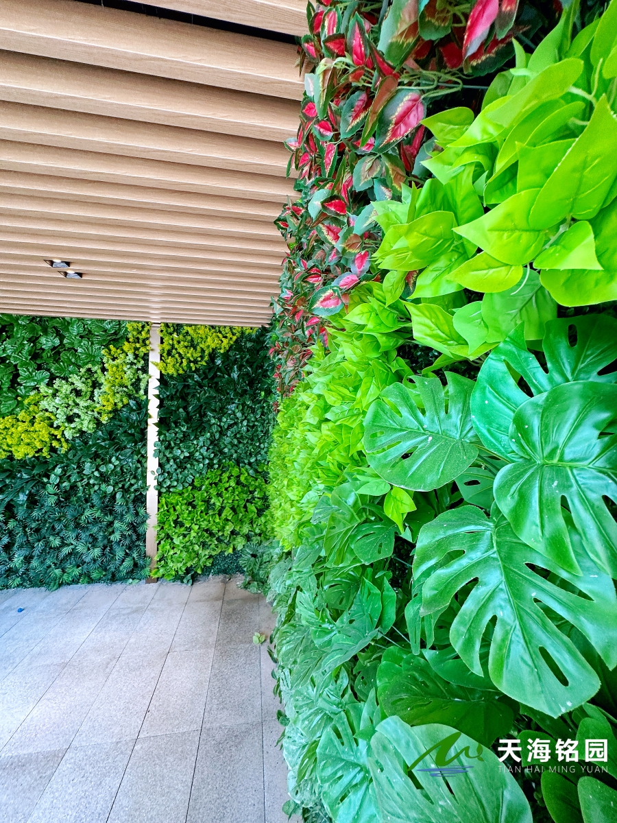 商场墙体绿植景观