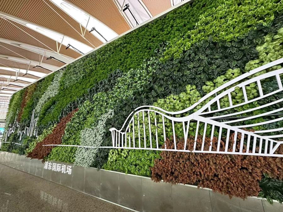 机场植物墙