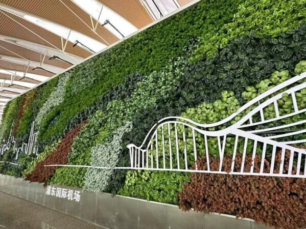 机场植物墙，浦东国际机场绿植形象墙景观