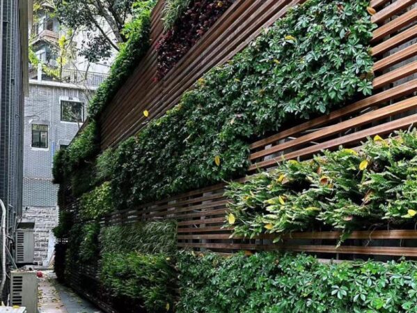 巷子植物墙，户外过道通道笔直绿化景观