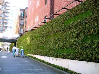 垂直绿化对城市环境和居民健康的重要影响