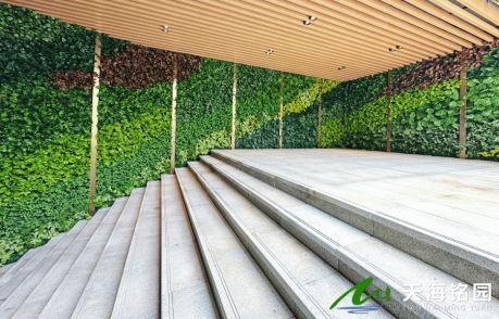 绿色建筑中的垂直绿化设计与实践