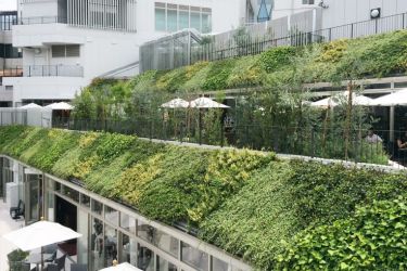 垂直绿化：建筑美学与环境关怀的完美结合