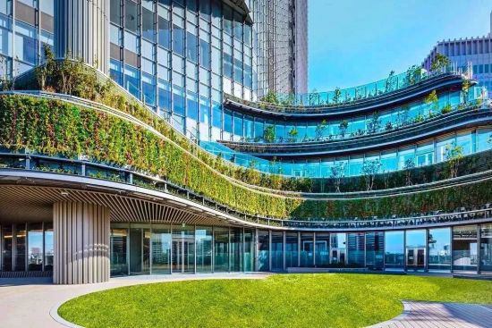 垂直绿化：改善城市空气质量的有效手段