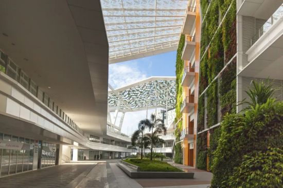 如何利用垂直绿化打造现代城市绿肺