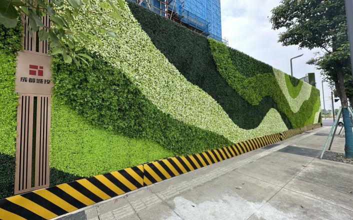 垂直绿化：城市中的生态奇迹